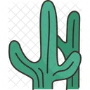 Cactus Tree Cactus Desert Icon
