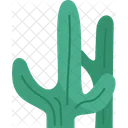 Cactus Tree Cactus Desert Icon