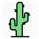 Cactus tree  Icon
