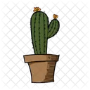 Cactus verde  Icono