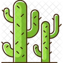 Cactus verde  Icono