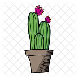 Cactus With Pink Flower  Icon