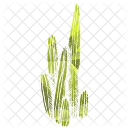Cactuses  Icon
