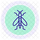 Caddisfly Insect Aquatic Icon