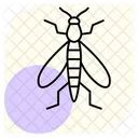 Caddisfly  Icon