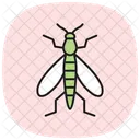 Caddisfly Insect Aquatic Icon