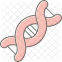 ADN Cadena Genetica Icono