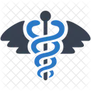 Caduceo Medicos Serpiente Icono