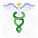 Caduceus Medical Healthcare Icon