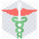 Caduceus Medical Icon Icon