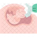 Caesarean  Icon