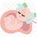 Caesarean Baby Deliver Icon