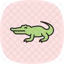 Caiman Reptil Escamoso Icono