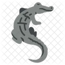 Caiman Crocodile Alligator Icon