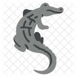 Caiman  Icon