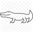 Caiman Reptile Scaly Icon