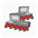 Morte Caixao Funeral Icon