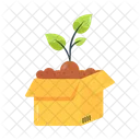 Planta de caja  Icono