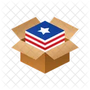 Estados Unidos Isometrica Box Icono