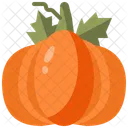 Calabaza Organica Vegana Icono