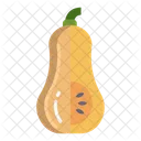 Calabaza  Icono