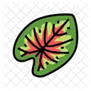 Caladium Leaf Caladium Tropical Icon