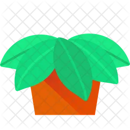 Calatheas Plant  Icon