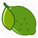 Lime Frutta Fit Icon