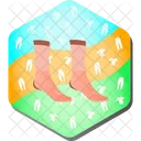 Calcetines Pack Ropa Icono