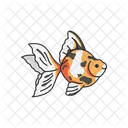 Calcio Goldfish Goldfish Fish Icône