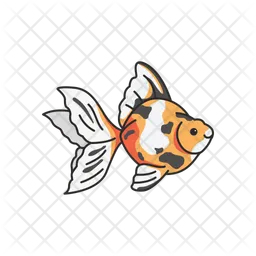 Calcio goldfish  Icon