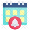 Calendar  Icon