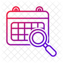 Calendar Search Magnifier Icon