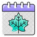 Calendar Thanks Gving Day Schedule Icon