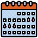 Calendar  Icon