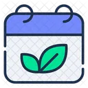 Calendar  Icon