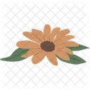 Calendula Herbal Herb Symbol