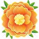 Calendula India Religiao Ícone