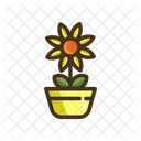 Calendula Calendula Plant Flower Icon
