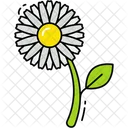 Calendula Flower Icon