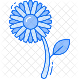 Calendula  Icon