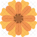 Calendula Flower Blossom Icon