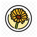 Calendula Cosmetic Plant Icon