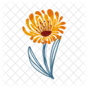 Calendula Flower  Symbol