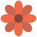 Calendula Flower  Icon