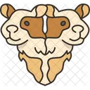 Calf Heads Bicephalic Icon