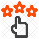 Calificacion Revision Estrella Icon