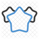 Calificacion Estrella Revision Icon