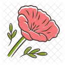 California Poppy Papaver Icon