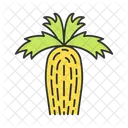 California Fan Palm  Icon
